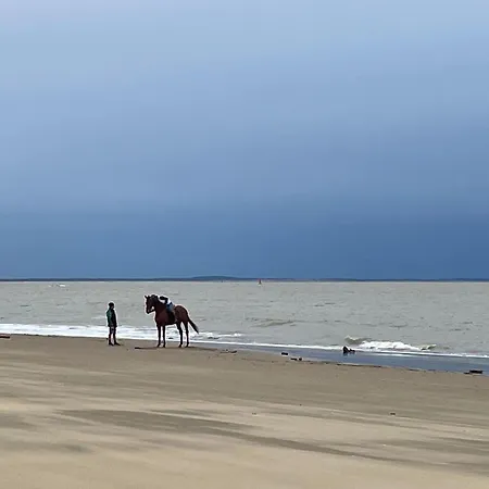 Mobilhome Trigano Samba 3 Bedrooms Ba233 - La Palmyre Bonne Anse *