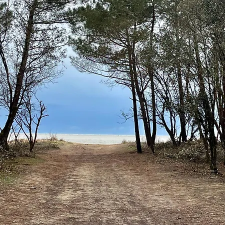 Casa vacanze Mobilhome Trigano Samba 3 Bedrooms Ba233 - La Palmyre Bonne Anse *