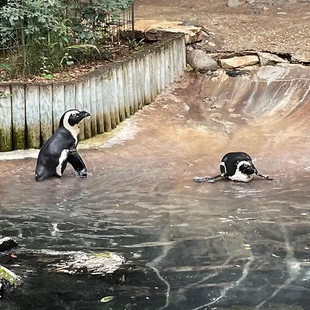 Mobilhome Trigano Samba 3 Bedrooms Ba233 - La Palmyre Bonne Anse Casa vacanze *