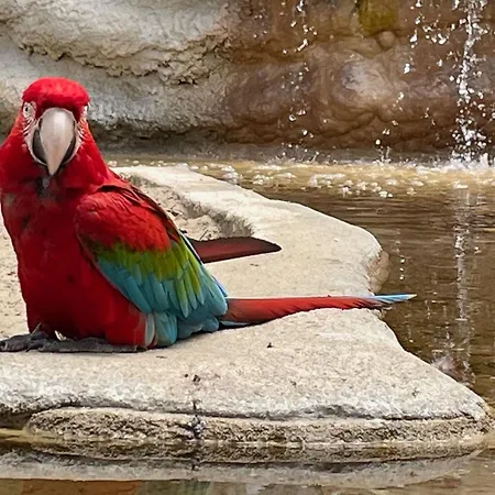 Mobilhome Trigano Samba 3 Bedrooms Ba233 - La Palmyre Bonne Anse * Les Mathes