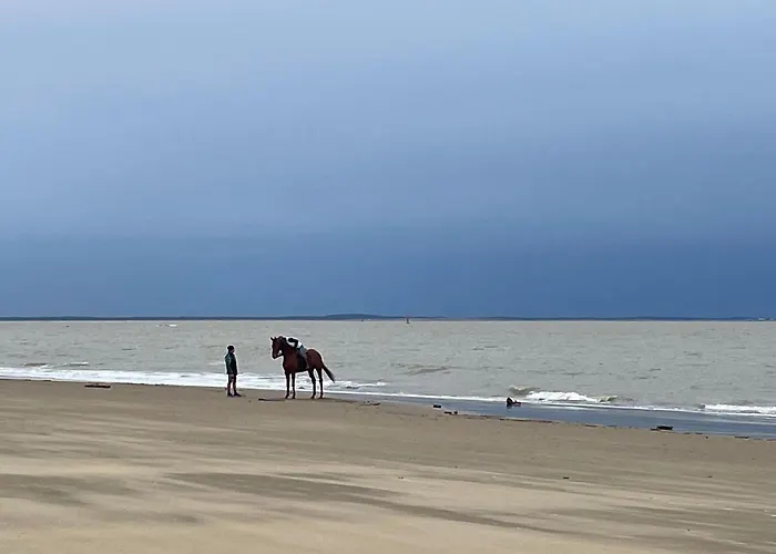 Mobilhome Trigano Samba 3 Bedrooms Ba233 - La Palmyre Bonne Anse *